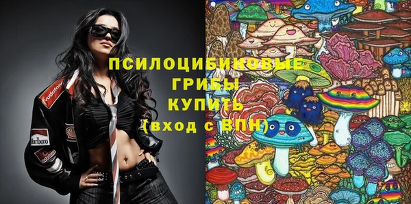 ПСИЛОЦИБИНОВЫЕ ГРИБЫ Балахна