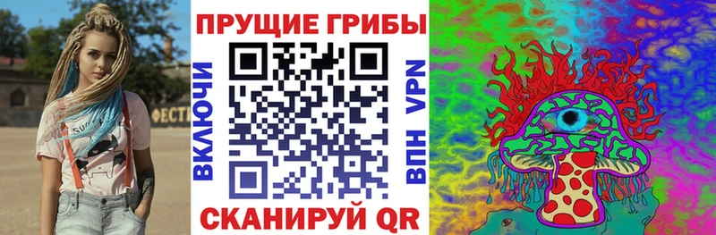 Купить  Серов  Псилоцибиновые грибы MAGIC MUSHROOMS 